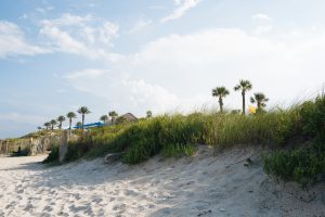 From winery tours to chartered fishing excursions, there’s something to do in Ponte Vedra Beach for everyone!