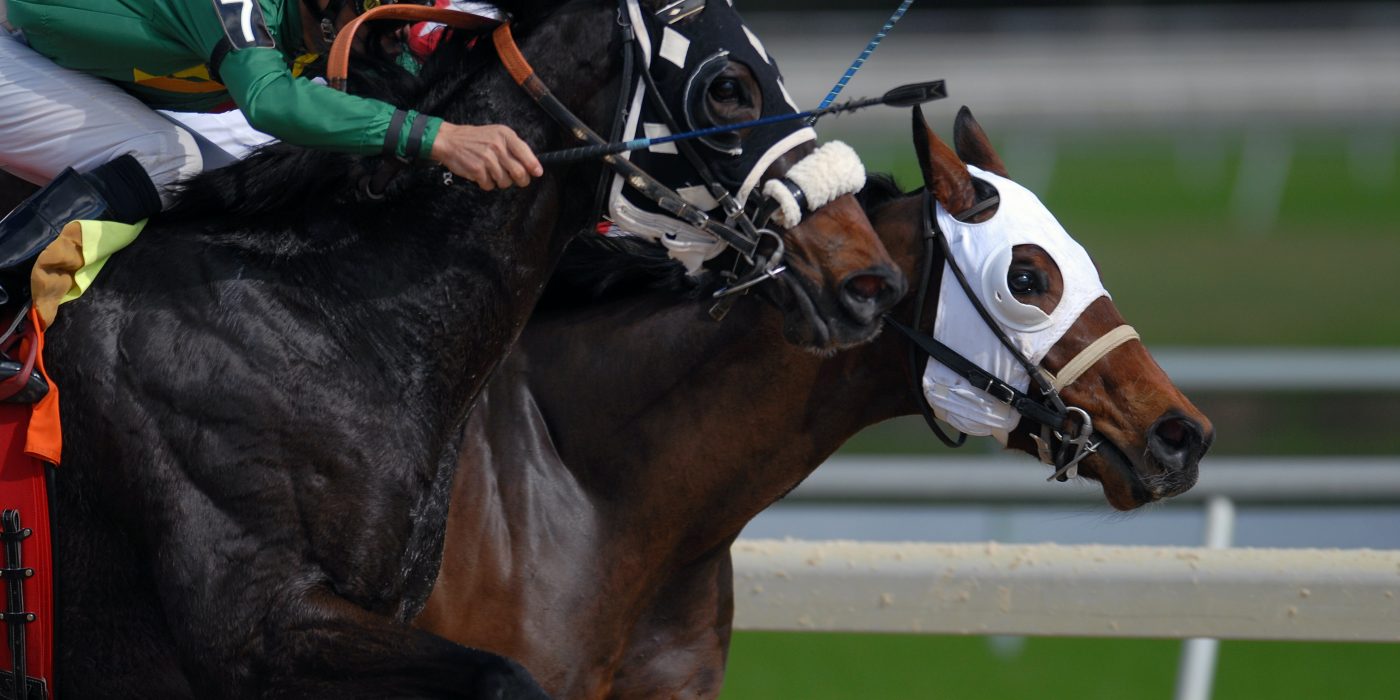 Book all three of our horse racing packages to experience the full Triple Crown.