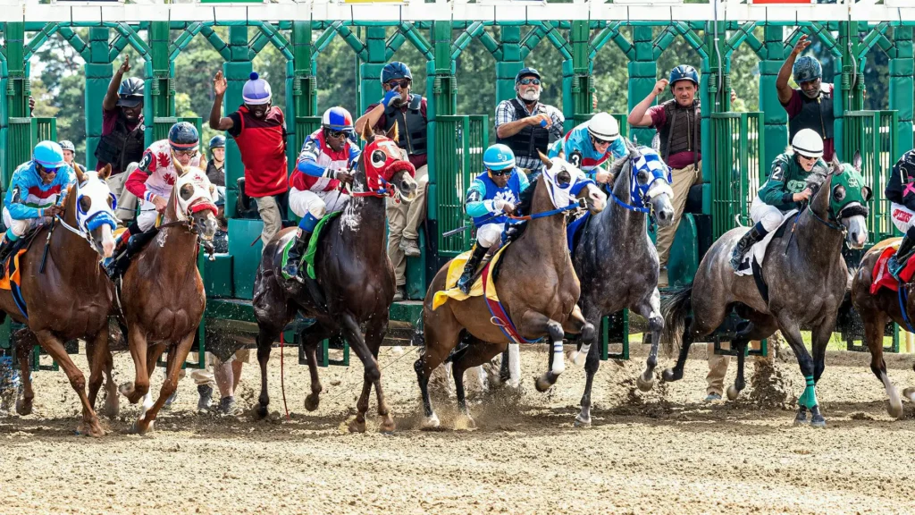 Thoroughbred horses breaking from the starting gate at a horse racing event, capturing the excitement of Kentucky Derby race day