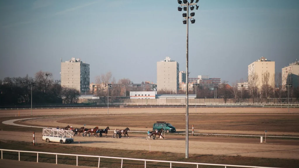 Horse racing on a sunny day at the Budapest race track, Hungary, with city backdrop.