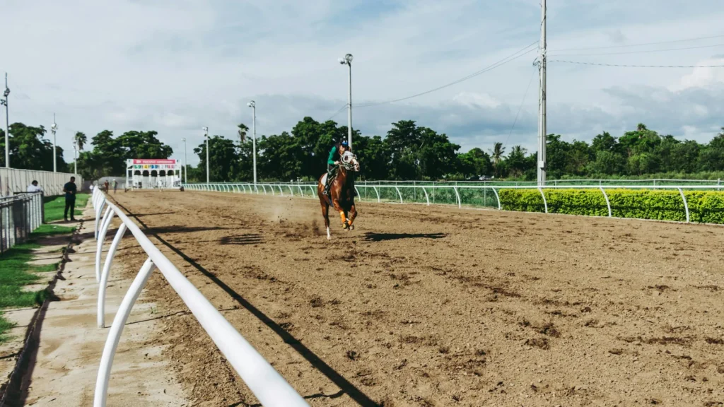 A horse race on a dirt track with a single rider competing in a bright, sunny outdoor setting.