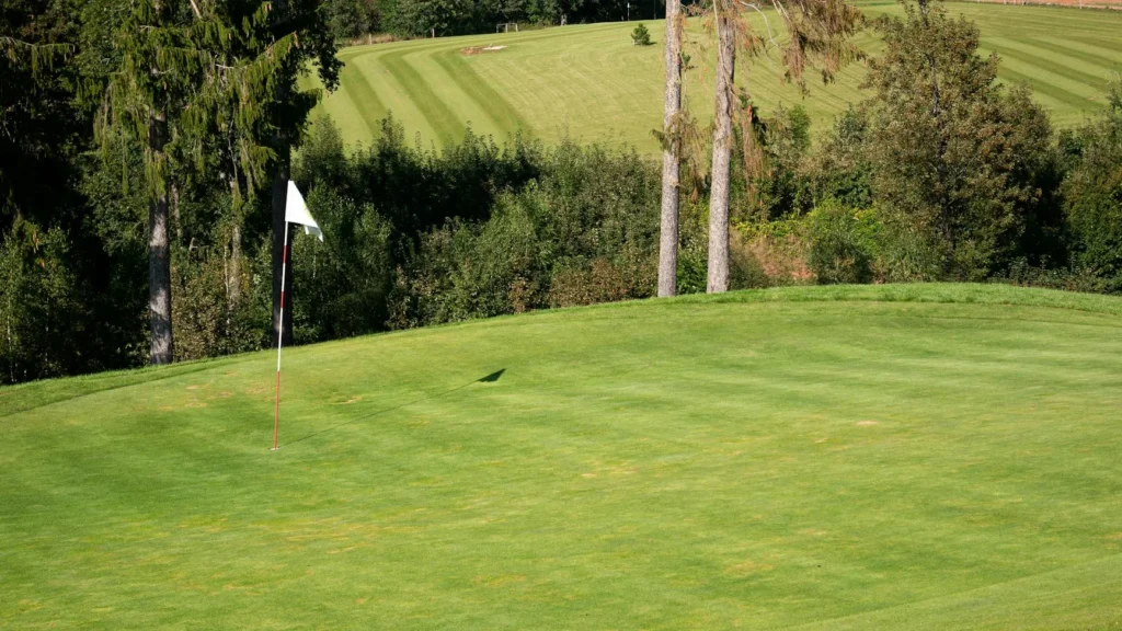 Vibrant green golf course fairway featuring flagstick, ideal for outdoor sports settings.
