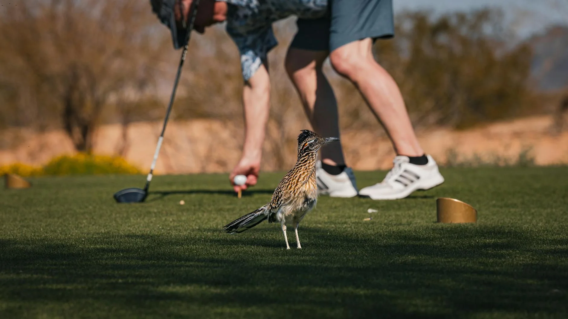 VIP hospitality suite overlooking the golf course at the WM Phoenix Open with corporate guests and gourmet catering